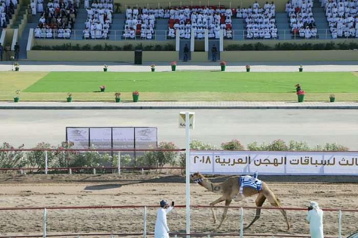 جانب من المهرجان