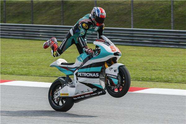  حفيظ سياهرين