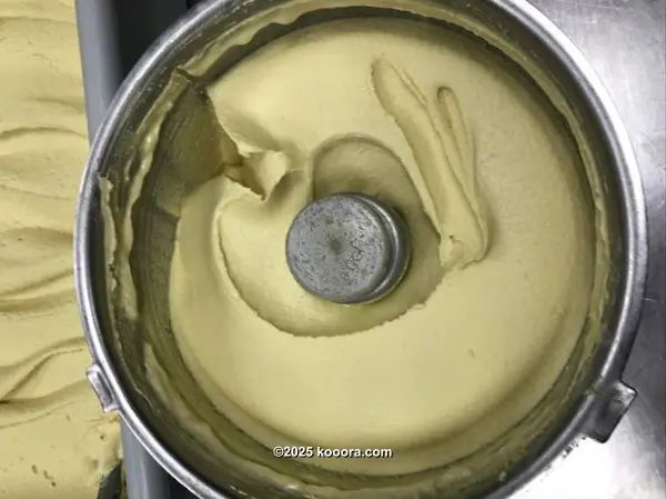 ?i=corr%2f39%2fkoo_39456