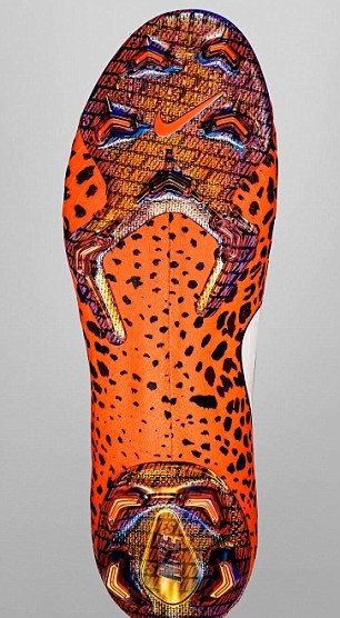 nike2