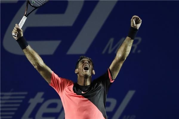 خوان مارتين ديل بوترو