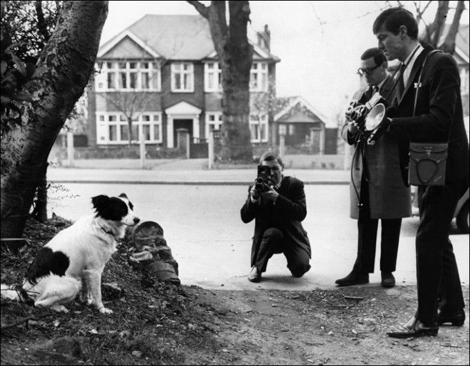 الكلب الذي أنقذ سمعة إنجلترا!!