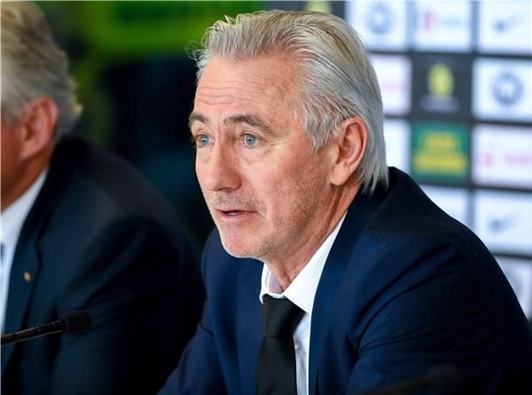 بيرت فان مارفيك