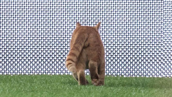 1441198841-besiktas-istanbul-bayern-muenchen-29SG