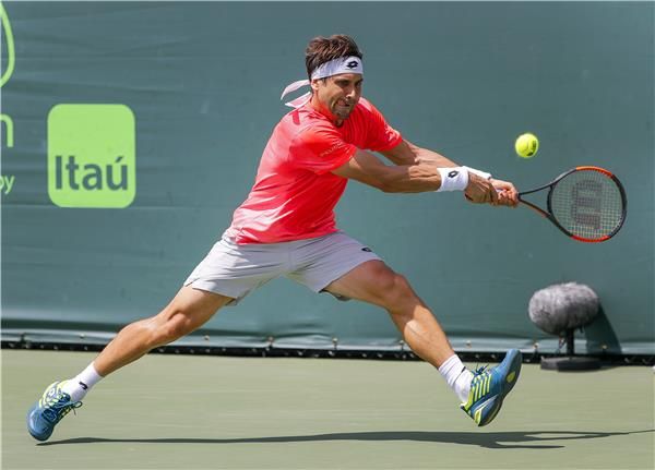 دافيد فيرير 