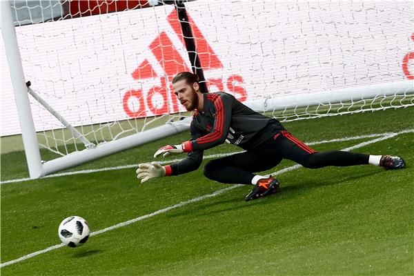 دافيد دي خيا