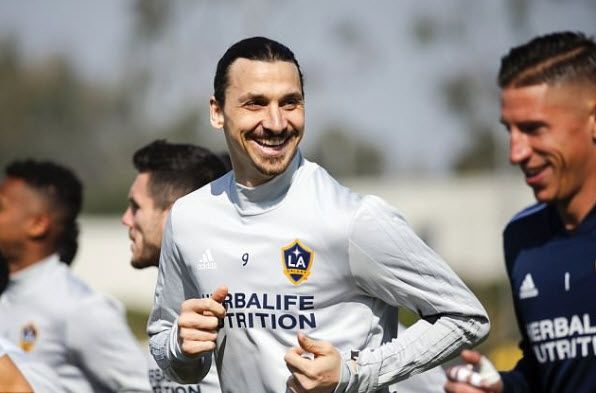 زلاتان إبراهيموفيتش