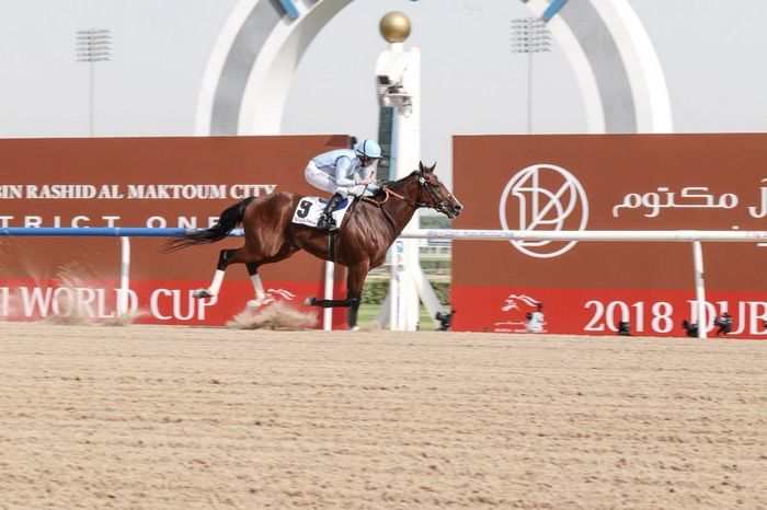 جانب من المنافسات