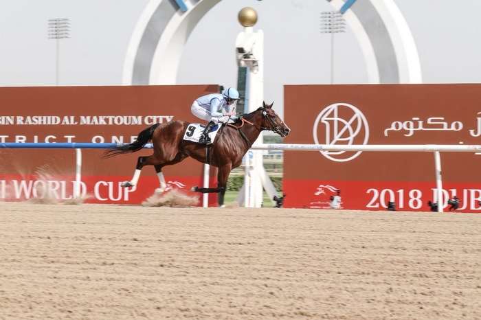 جانب من المنافسات