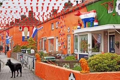 المشجعيين الهولنديين يستعدون للمونديال بطلاء اللون البرتقالي