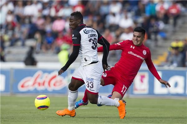 من لقاء لوبوس وتولوكا