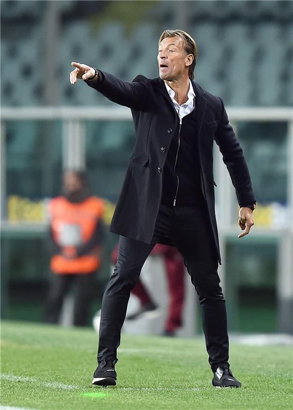 هيرفي رينارد 