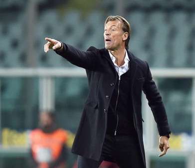 هرفي رينارد