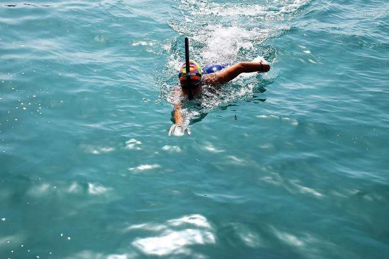 received_10156576791688646-web