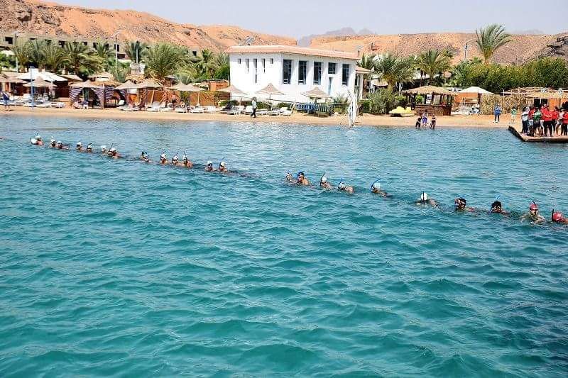 received_10156576791743646-web