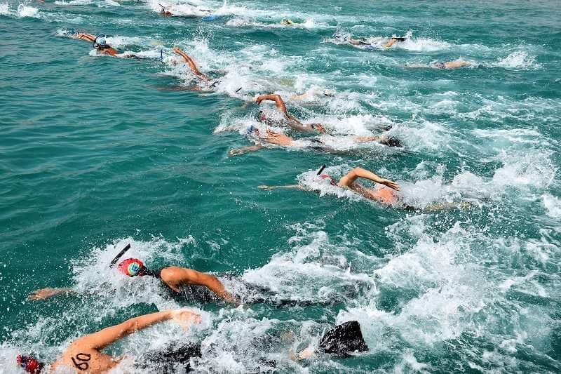 received_10156576791778646-web