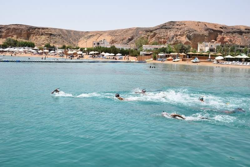 received_10156576792153646-web