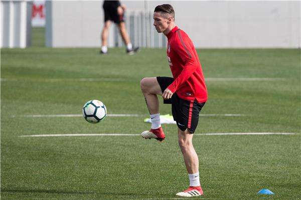 فرناندو توريس