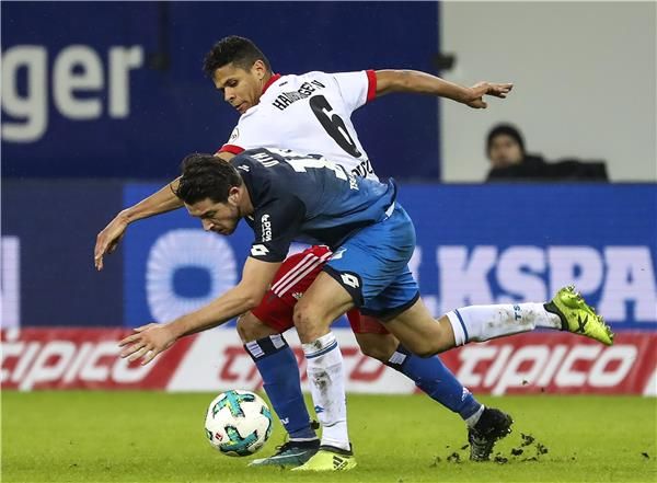 هامبورج وهوفنهايم 