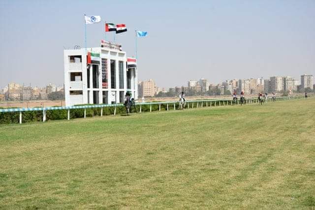 received_1697464433666574