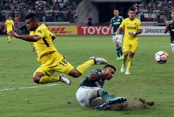 فرانك فابرا	