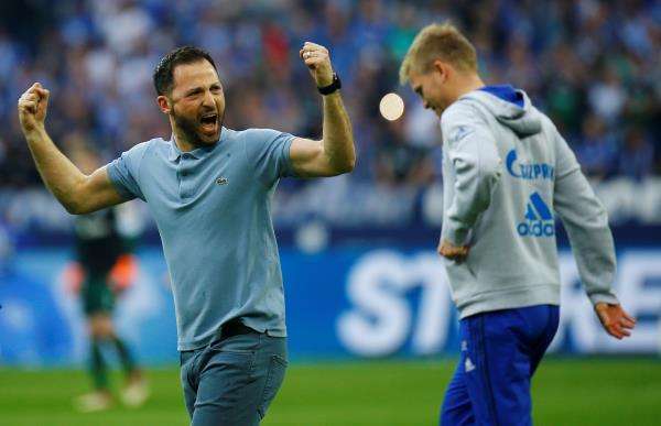 دومنيكو تيديسكو