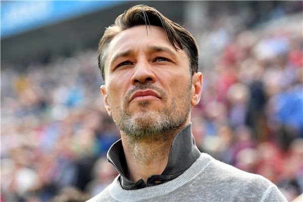 نيكو كوفاتش