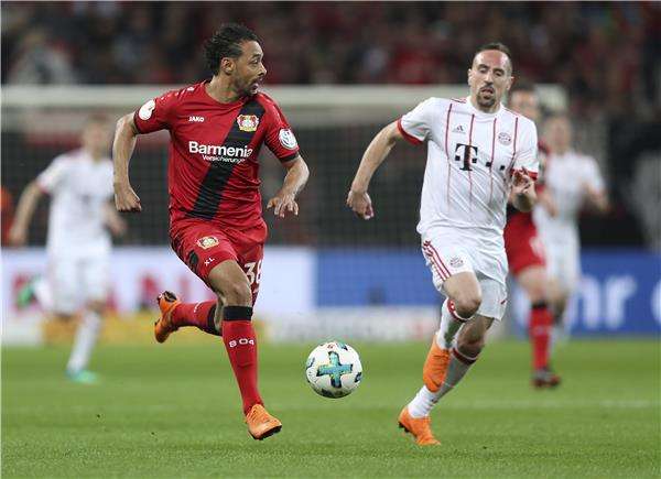 فرانك ريبيري