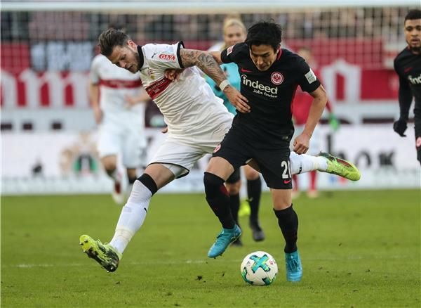 ماكوتو هاسيبي