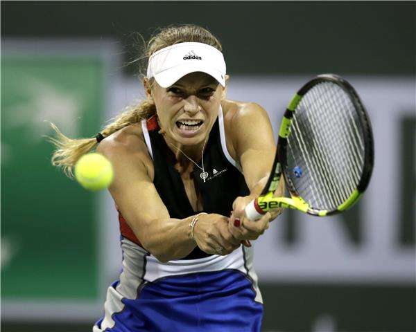 كارولين وزنياكي