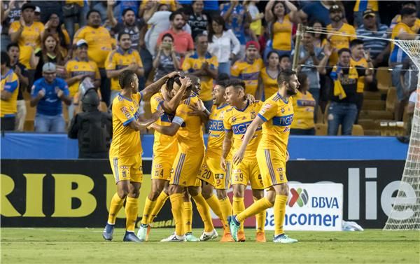 لاعبو تيجريس