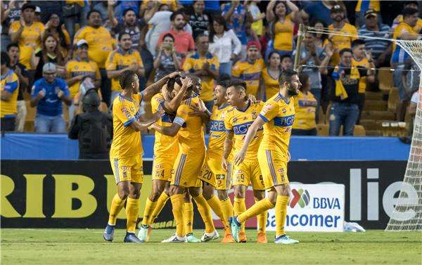 لاعبو تيجريس