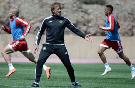 هيرفي رينارد