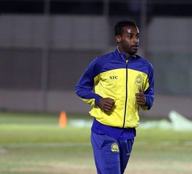 ربيع سفياني