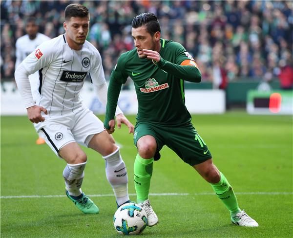  زلاتكو يونوزوفيتش