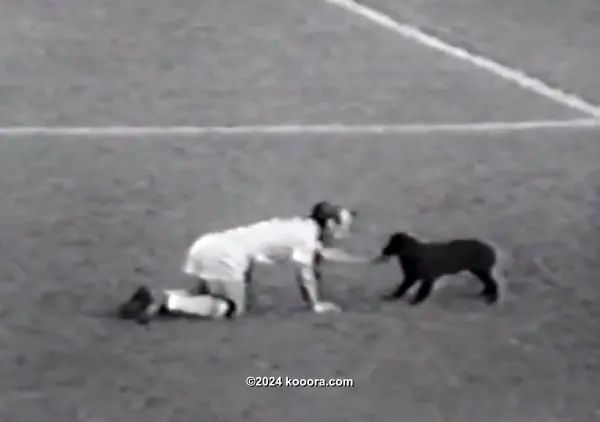 ?i=corr%2f51%2fkoo_51690