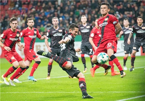 ستيفين سكرزيبسكي