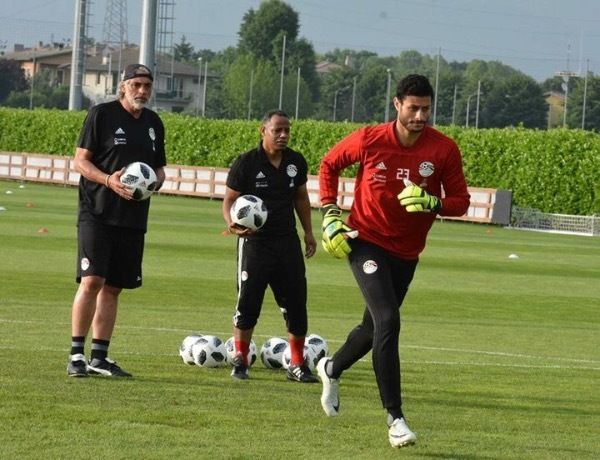 محمد الشناوي