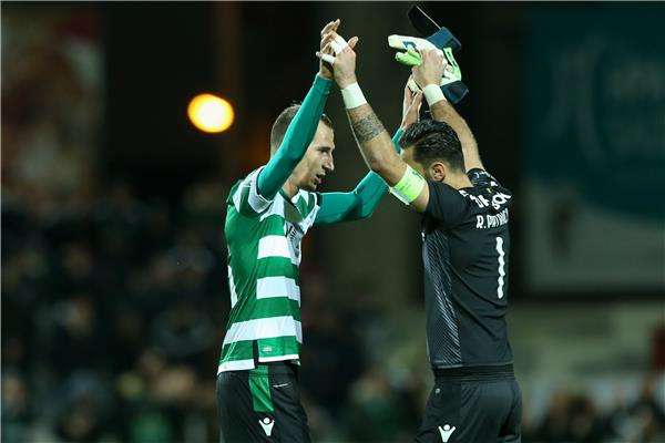 روي باتريسيو