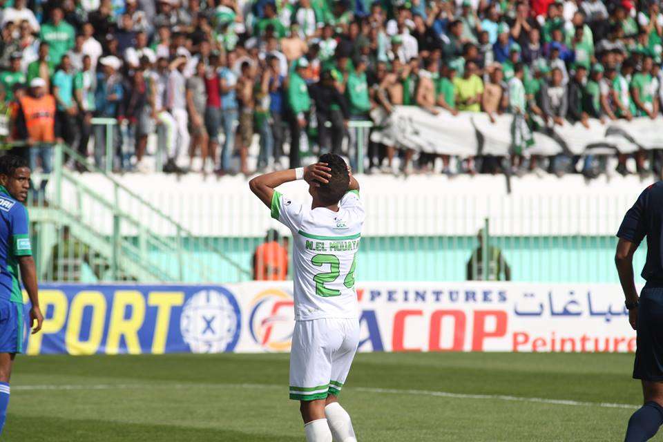 نجيب المعتني