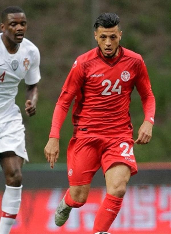 أنيس البدري