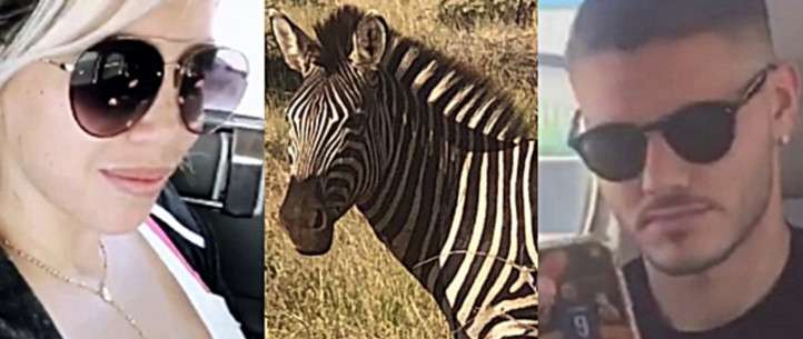 إيكاردي وزوجته