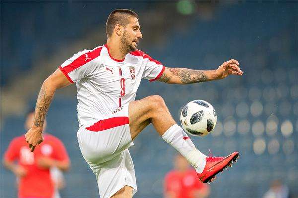  ألكسندر ميتروفيتش