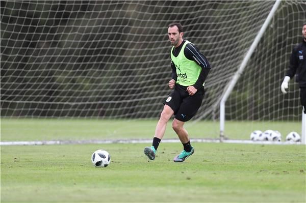 دييجو جودين