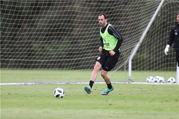 دييجو جودين