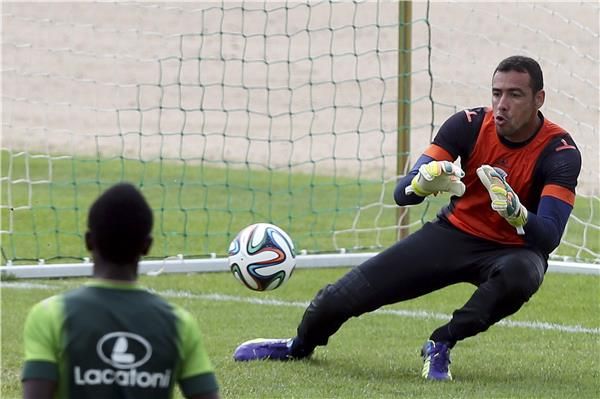 كاسيو أنجوس