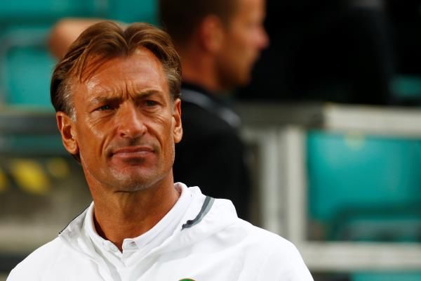 هيرفي رينارد