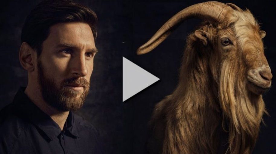 ميسي مع الماعز