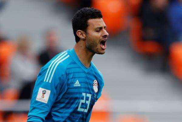 محمد الشناوي