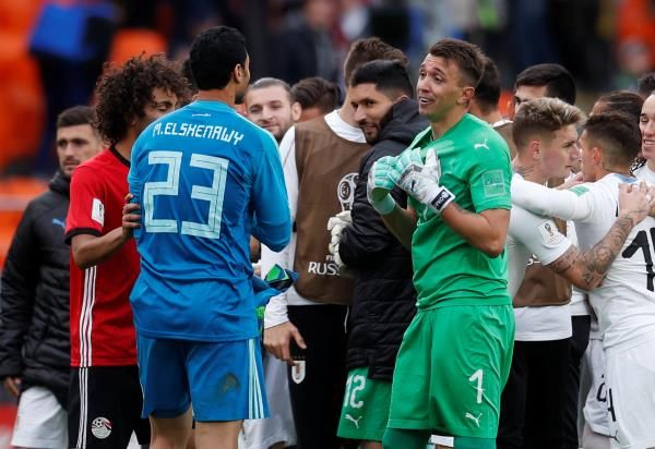 محمد الشناوي